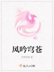 风吟穹苍