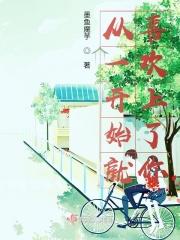 从一开始就喜欢上了你