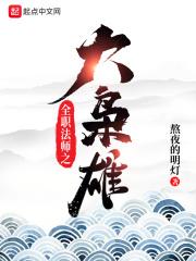 我在全职法师世界当卧底